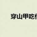 穿山甲吃什么长大的（穿山甲吃什么）