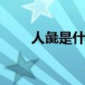 人彘是什么样子图片（人彘是什么）