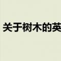 关于树木的英文句子（关于树木的英语单词）