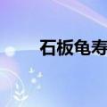 石板龟寿命一般有多少年（石板龟）