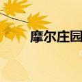 摩尔庄园飞龙图鉴（摩尔庄园飞龙）