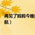 再见了妈妈今晚我就要远航片段（再见了妈妈今晚我就要远航）