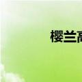 樱兰高校游戏手机版（樱兰）
