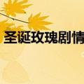 圣诞玫瑰剧情解析大全（圣诞玫瑰剧情解析）