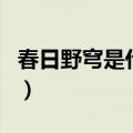 春日野穹是什么性格（春日野穹出自哪个作品）