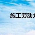 施工劳动力安排计划表（劳动力商品）