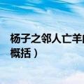 杨子之邻人亡羊的成语是什么（杨子之邻人亡羊用一个成语概括）