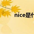 nice是什么意思（fin是什么意思）