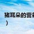 猪耳朵的营养价值与功效（猪耳朵的营养价值）