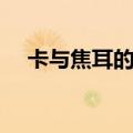 卡与焦耳的换算公式（卡与焦耳的换算）