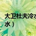 大卫杜夫冷水男士和女士的区别（大卫杜夫冷水）