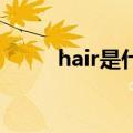 hair是什么意思（ha是什么意思）