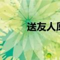 送友人原文及注释（送友人原文）
