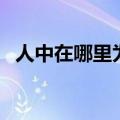 人中在哪里为什么要掐人中（人中在哪里）
