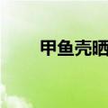甲鱼壳晒干怎样食用最好（甲鱼壳）