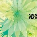凌驾是什么意思（凌驾）