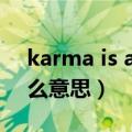 karma is a bitch歌名（karmaisabitch什么意思）