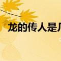龙的传人是几年级的课文（龙的传人课文）