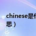 chinese是什么意思中文（chinese是什么意思）