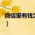 微信里有钱为什么不能支付（支付宝怎么用的）