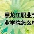 黑龙江职业学院怎么样好不好就业（黑龙江职业学院怎么样）