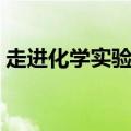 走进化学实验室实验报告（走进化学实验室）