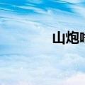 山炮啥意思网络用语（山炮）