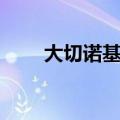 大切诺基二手车（大切诺基怎么样）