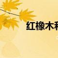 红橡木和白橡木的区别（红橡木）