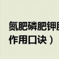 氮肥磷肥钾肥作用口诀(生物)（氮肥磷肥钾肥作用口诀）