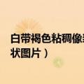 白带褐色粘稠像浆糊是什么原因不痛不痒（白带呈白色浆糊状图片）