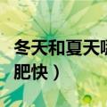 冬天和夏天哪个减肥快些（冬天和夏天哪个减肥快）