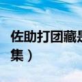 佐助打团藏是第几集动画（佐助打团藏是第几集）