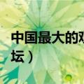 中国最大的观赏鱼交易平台（最大的观赏鱼论坛）