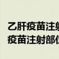 乙肝疫苗注射部位和注射途径正确的是（乙肝疫苗注射部位）