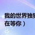 我的世界独独在等你是什么歌（我的世界独独在等你）