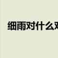 细雨对什么对子怎么对（细雨对什么对子）