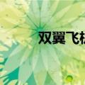 双翼飞机和三翼飞机（双翼飞机）