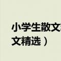 小学生散文精选大全 经典版内容（小学生散文精选）