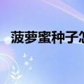 菠萝蜜种子怎么吃法（菠萝蜜种子怎么吃）