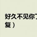 好久不见你了英语翻译（好久不见英语怎么回复）