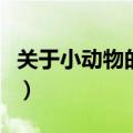 关于小动物的故事二年级（关于小动物的故事）
