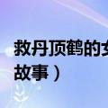 救丹顶鹤的女孩故事的歌词（救丹顶鹤的女孩故事）