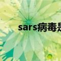 sars病毒是逆转录病毒吗（sars病毒）