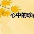 心中的珍藏作文600字（心中的珍藏）