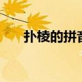 扑棱的拼音是什么意思（扑棱的读音）