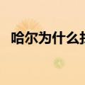 哈尔为什么找苏菲（哈尔从小在等苏菲吗）