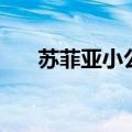 苏菲亚小公主动画片（小公主动画片）