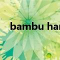 bambu handy官网（handy taskman）