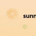 sunny days（sunny day）